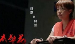 魏嘉的爆料视频在哪里可以看到,魏嘉爆料视频完整版在线观看地址及精彩内容概述